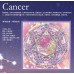 Wensli Silk Scarf - 12 constellations